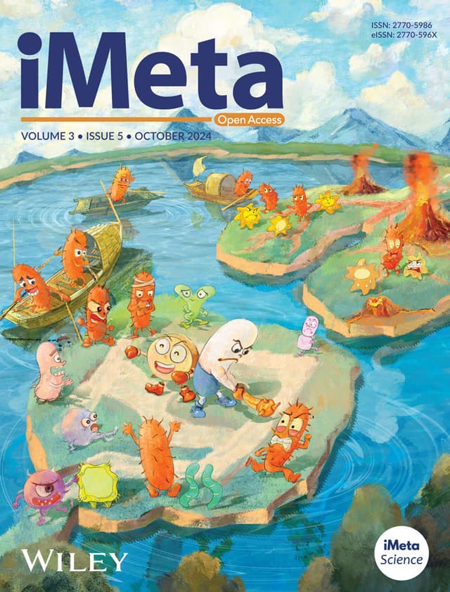 iMeta